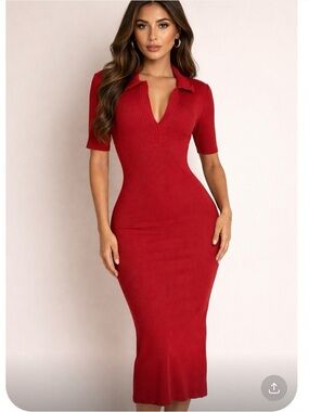 CAROLINE CONSTAS Burgundy Ribbed Midi Dress with Polo Neck Size L